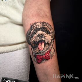 Tattoo Shih Tzu On the arm motif: animals style: realistic