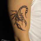 Scorpion
