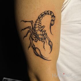 Tattoo Scorpion On the arm motif: black and gray style: graphic / illustrative