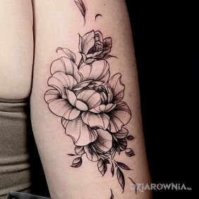 Tatuaż Peonia na ręce motyw: kwiaty styl: graficzne / ilustracyjne
