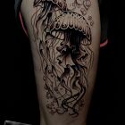 Two jellyfish