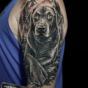 Tattoo Pies na tle gór On the arm motif: nature style: realistic