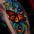 Butterfly and peacock feather in intense colors