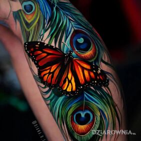 Tatuaż Motyl i pawie pióro w intensywnej kolorystyce na nodze motyw: 3D styl: realistyczne