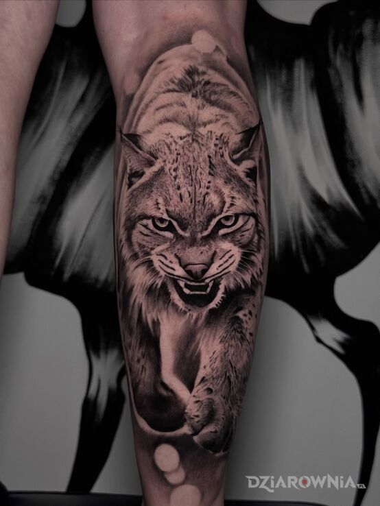 Tatuaż Ryś – Black & Grey w motywie czarno-szare i stylu realistyczne na łydce