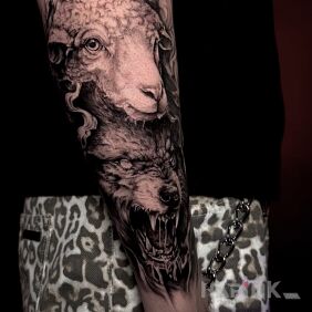 Tattoo Wolf and Sheep – Black & Grey On the arm motif: dark style: realistic