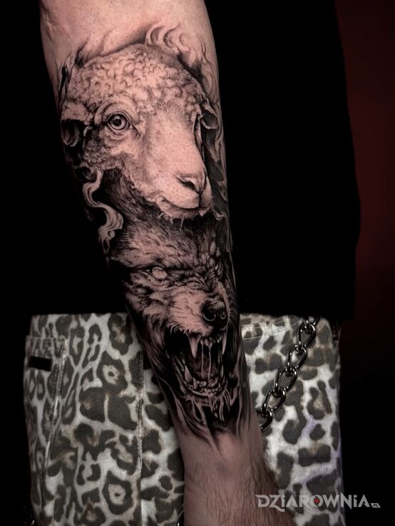 Tatuaż Wilk i owca – Black & Grey w motywie czarno-szare i stylu realistyczne na ręce