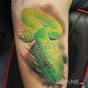 Tattoo Green vase on the upper arm motif: animals style: realistic