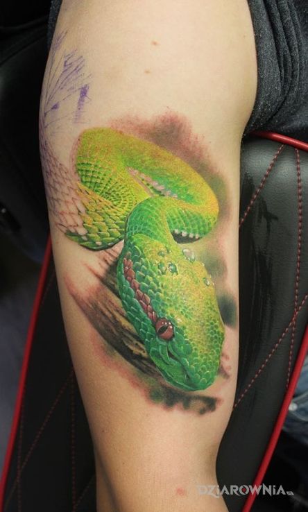 Tatuaż zielony waz w motywie zwierzęta i stylu realistyczne na ramieniu
