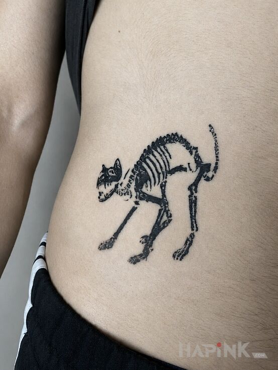Tattoo Szkielet syczącego kota in dark motif and engravings / gravure style on the stomach