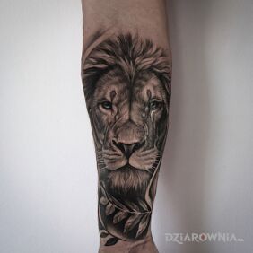 Tatuaż Lew i liście — black & grey na przedramieniu motyw: znaki zodiaku styl: realistyczne
