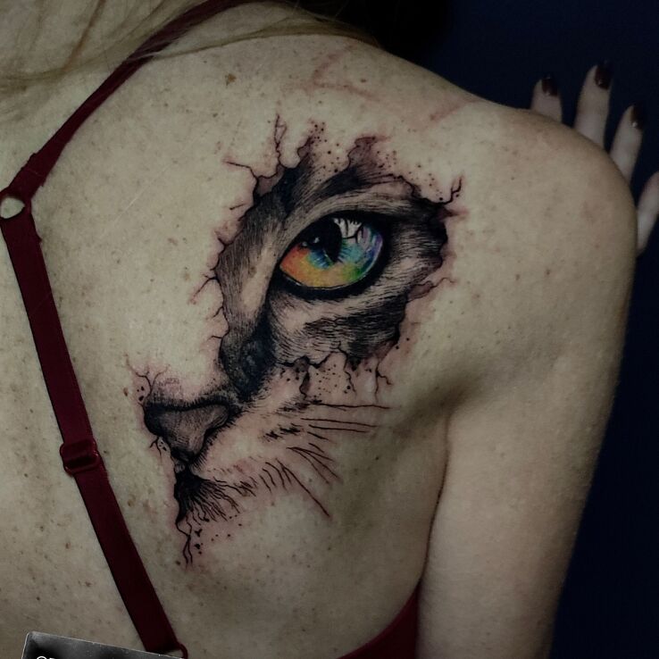 Tattoo Kot in colorful motif and graphic / illustrative style on the shoulder blades