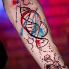 Koncepcja DNA