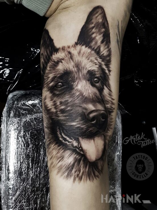 Tattoo Pies, owczarek in animals motif and realistic style on the upper arm