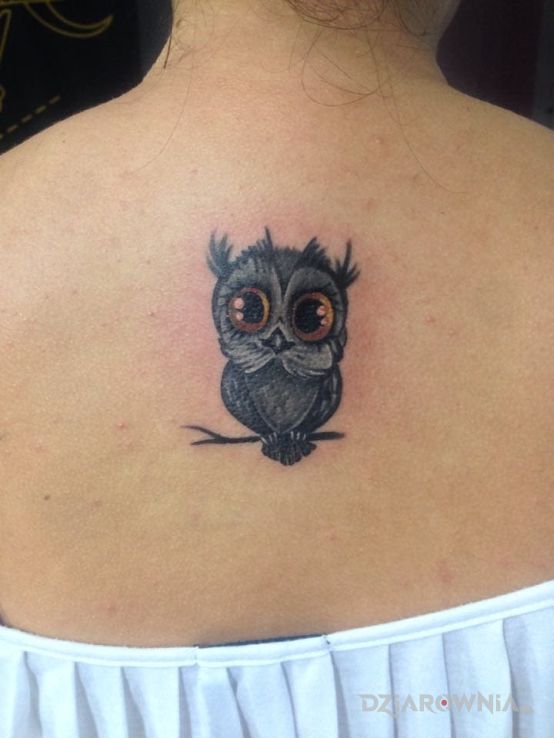 Tatuaż mała sówka w motywie zwierzęta na plecach