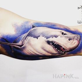 Tattoo White shark on the upper arm motif: animals