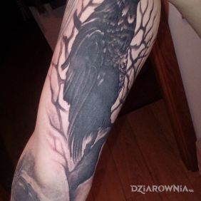 Tatuaż Kruk na dłoni motyw: zwierzęta