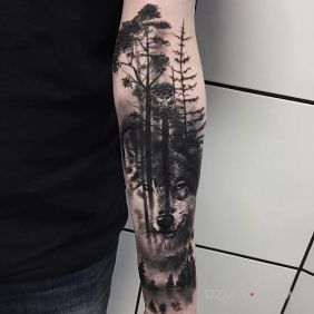 Tatuaż Wilk w lesie na przedramieniu motyw: 3D styl: realistyczne