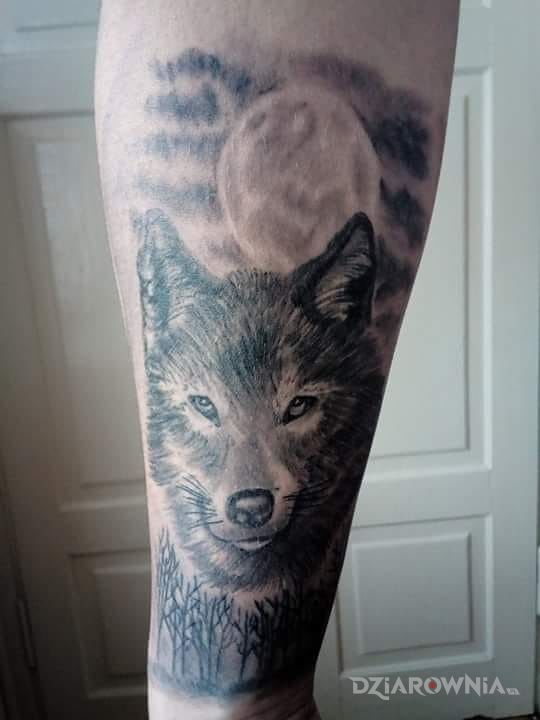 Tatuaż wilk w motywie zwierzęta na przedramieniu