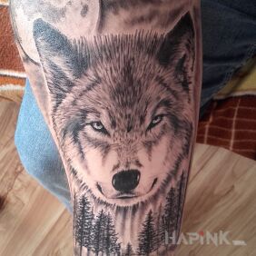 Tattoo Wolf on the forearm motif: animals