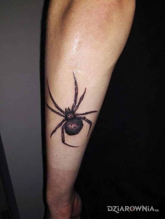 Tatuaż pająk w motywie zwierzęta na przedramieniu
