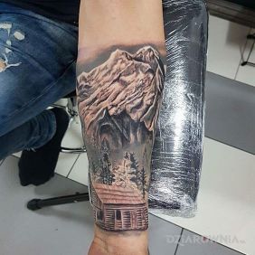 Tatuaż Mała oaza w górach na przedramieniu motyw: 3D styl: realistyczne