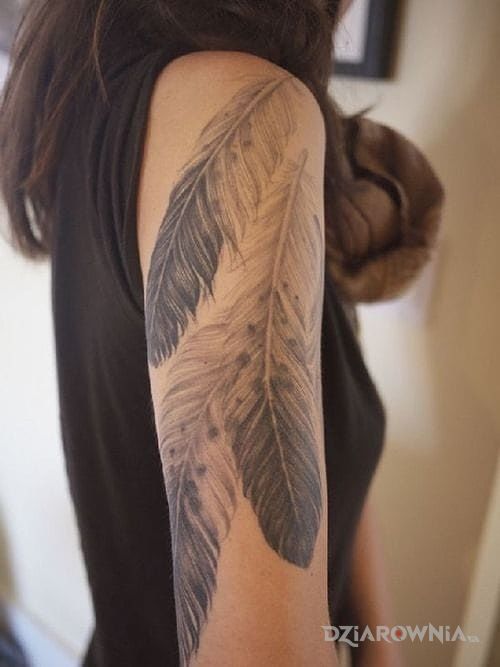 Tatuaż pióra w motywie pozostałe na ramieniu
