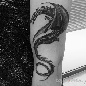 Tatuaż Dragon na przedramieniu motyw: smoki