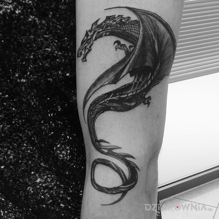 Tatuaż dragon w motywie smoki na przedramieniu