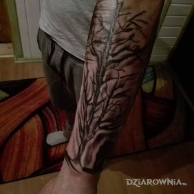 Tatuaż Drzewo na przedramieniu motyw: pozostałe