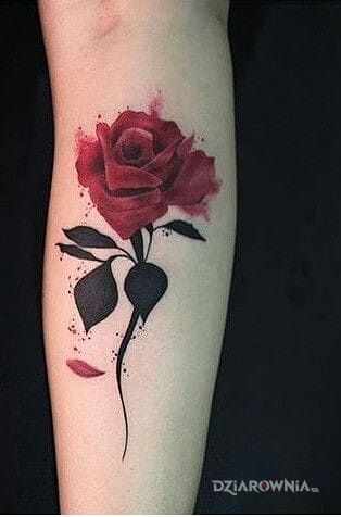 Tatuaż czerwona różyczka w motywie kwiaty na przedramieniu