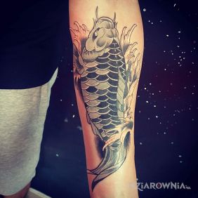 Tatuaż Koi na przedramieniu motyw: zwierzęta styl: japońskie / irezumi