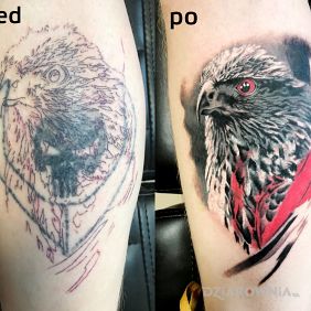 Tatuaż Cover up Orzeł na przedramieniu motyw: kolorowe styl: realistyczne