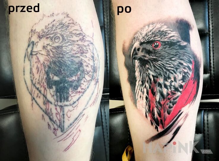 Tattoo Cover up Orzeł in colorful motif and realistic style on the forearm