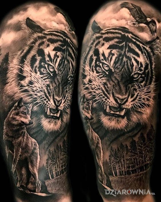 Tatuaż tygrys i wilk w motywie zwierzęta i stylu realistyczne na ramieniu
