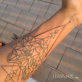 Tattoo Contours wolf forearm on the forearm motif: animals