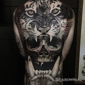Tatuaż Tygrys i czaszki na plecach motyw: 3D styl: realistyczne