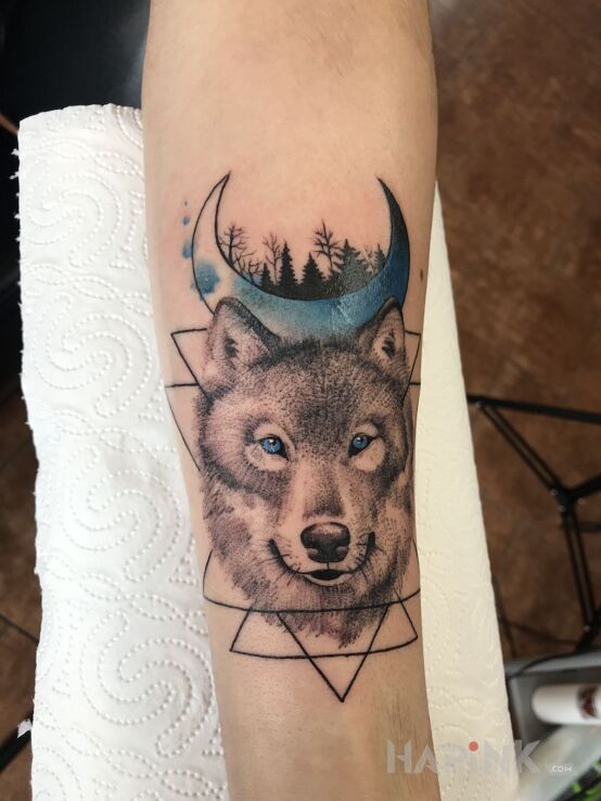 Tattoo Wolf in animals motif on the forearm