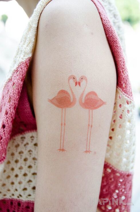 Tattoo Flamingi in animals motif on the upper arm