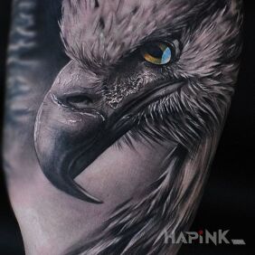 Tattoo Eagle on the upper arm motif: colorful style: realistic