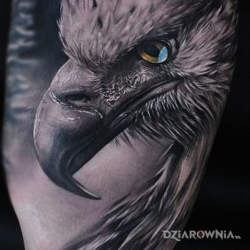 Tatuaż Orzeł na ramieniu motyw: zwierzęta styl: realistyczne