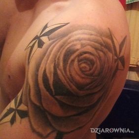 Tatuaż Początek na ramieniu motyw: kwiaty