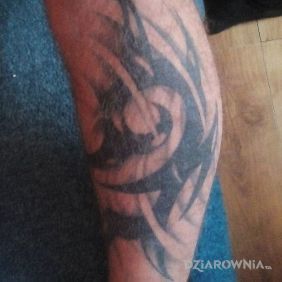 Tatuaż Triball na nodze styl: tribale