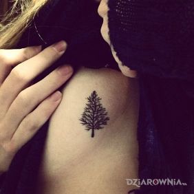 Tatuaż Drzewko na żebrach motyw: pozostałe