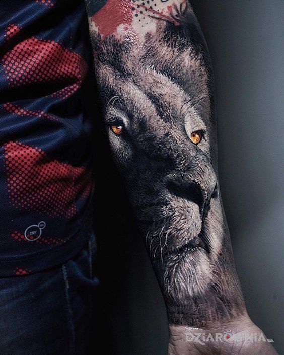 Tatuaż lwisko w motywie 3D i stylu realistyczne na przedramieniu