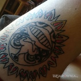 Tatuaż Maori na nodze motyw: pozostałe