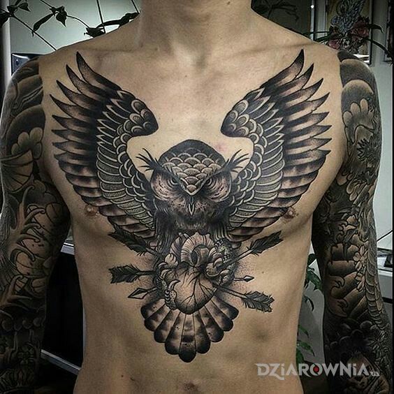 Tatuaż kawał sowy w motywie zwierzęta na brzuchu