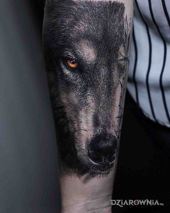 Tatuaż pysk wilka w motywie 3D i stylu realistyczne na przedramieniu