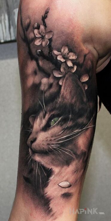 Tattoo Kot in flowers motif and realistic style on the upper arm