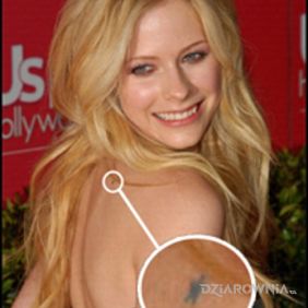 Tatuaż Avril Lavigne - tatuaż gwiazdka na plecach na plecach motyw: sławnych osób